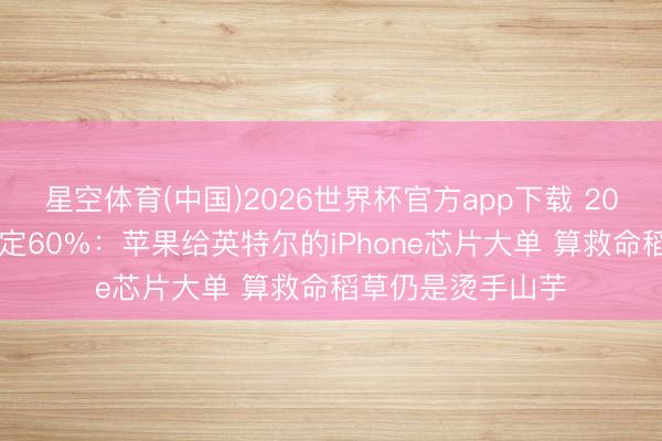 星空体育(中国)2026世界杯官方app下载 2027年良率策画锁定60%：苹果给英特尔的iPhone芯片大单 算救命稻草仍是烫手山芋