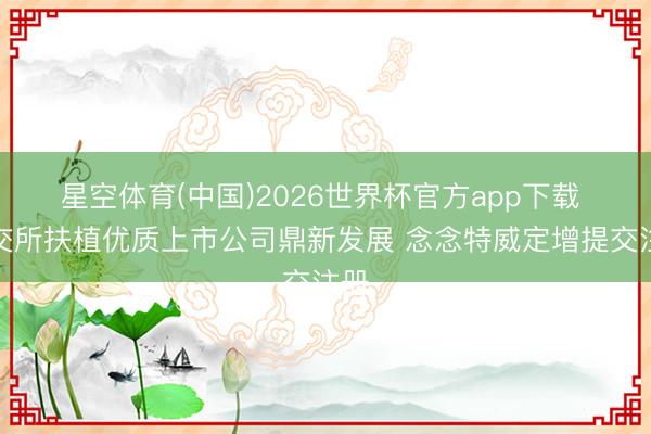 星空体育(中国)2026世界杯官方app下载 上交所扶植优质上市公司鼎新发展 念念特威定增提交注册