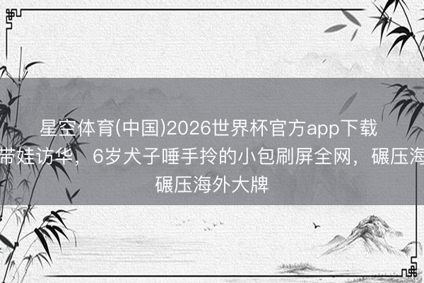 星空体育(中国)2026世界杯官方app下载 马斯克带娃访华，6岁犬子唾手拎的小包刷屏全网，碾压海外大牌