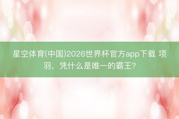 星空体育(中国)2026世界杯官方app下载 项羽，凭什么是唯一的霸王？