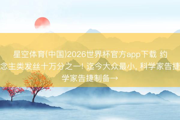 星空体育(中国)2026世界杯官方app下载 约为东说念主类发丝十万分之一! 迄今大众最小， 科学家告捷制备→