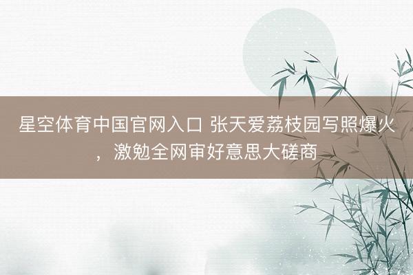 星空体育中国官网入口 张天爱荔枝园写照爆火，激勉全网审好意思大磋商