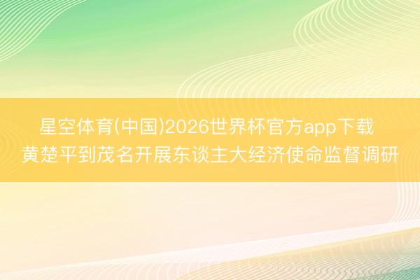 星空体育(中国)2026世界杯官方app下载 黄楚平到茂名开展东谈主大经济使命监督调研