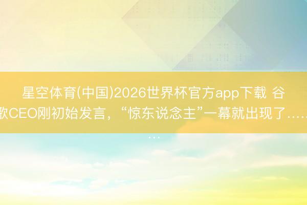 星空体育(中国)2026世界杯官方app下载 谷歌CEO刚初始发言，“惊东说念主”一幕就出现了……