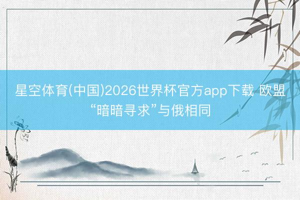 星空体育(中国)2026世界杯官方app下载 欧盟“暗暗寻求”与俄相同